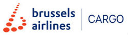 Superior air-shipping solutions logo